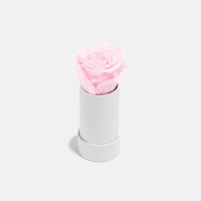 Scatola personalizzata - Rosa confetto
