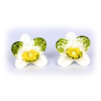 Boucles D'oreilles Tiges En Pâte Polymère Orchidées Blanc-Vert-Jaune