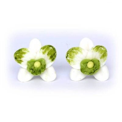 Boucles D'oreilles Tiges En Pâte Polymère Orchidées Blanc-Vert