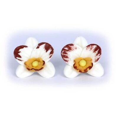 Orquídeas marrones blancas hechas de arcilla polimérica