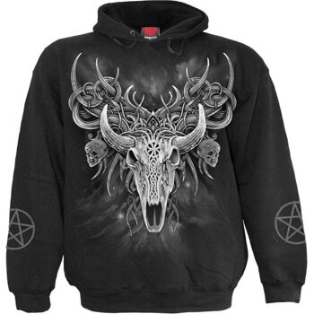 HORNED SPIRIT - Sweat à capuche Noir 1