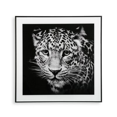 TIGER GLASS PICTURE 20231403