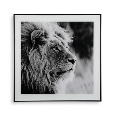 LION GLASS PICTURE 20231404