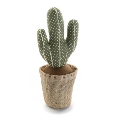 Sujetapuertas cactus 20270119