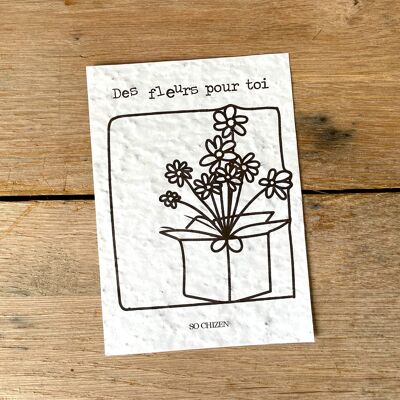 Paquete regalo tarjeta para plantar