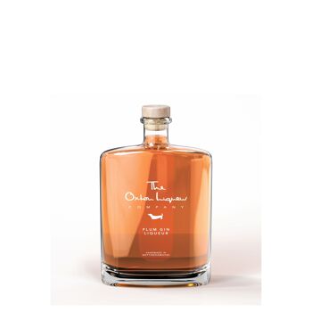 Liqueur de Prune Gin - 350ml ABV 22% / SKU065 1