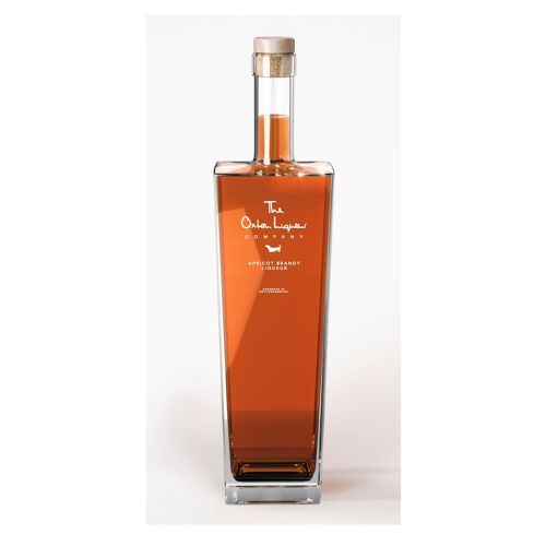 Apricot Brandy Liqueur - 500ml ABV 19% / SKU087
