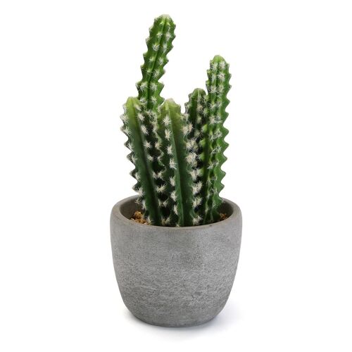 Cactus en maceta cemento 21570002