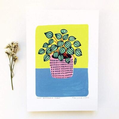 Peperomia Plant A5 Print