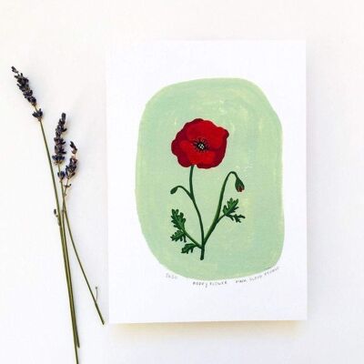 Poppy Flower A5 Print