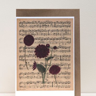 Art Print Cards - Dalias on Music