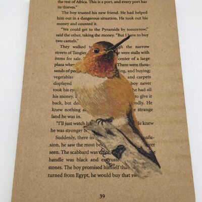 Softcover Notebook - Birds - Hummingbird