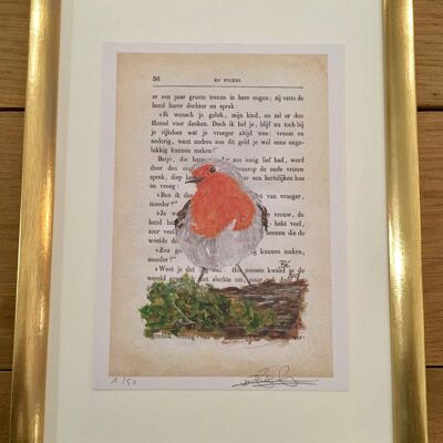 Art Print - Red Robin - Framed