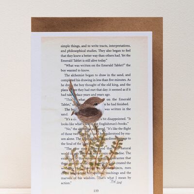 Art Print Cards - Literary Birds - Fairy Wren