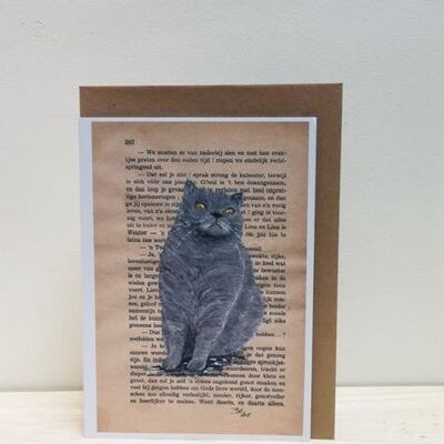 Art Print Cards - Cats - Shorthair