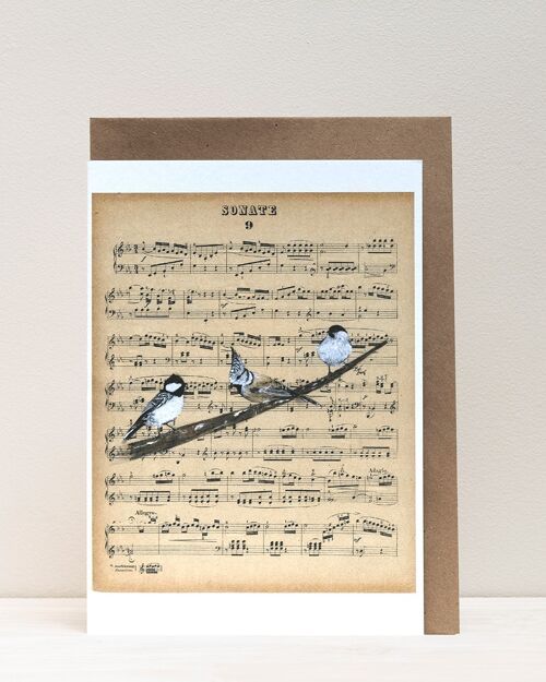 Art Print Cards - Birds & Music - Titmice on a Branch