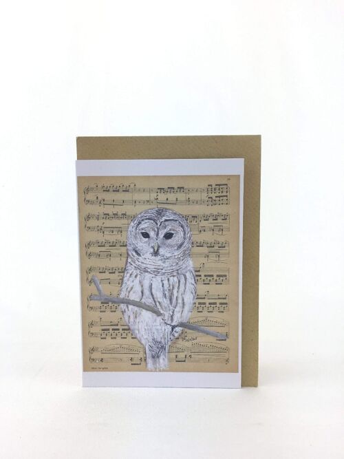 Art Print Cards - Birds & Music - Owl