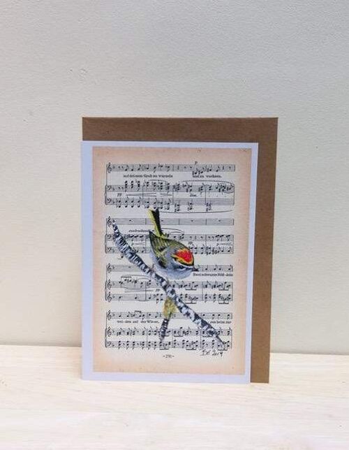Art Print Cards - Birds & Music - American Goldcrest