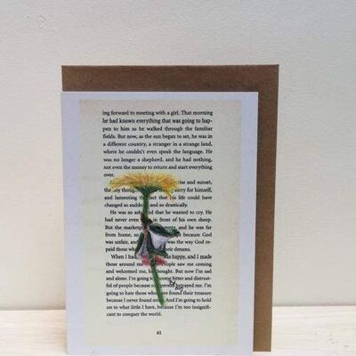 Art Print Cards - Frog & Flower