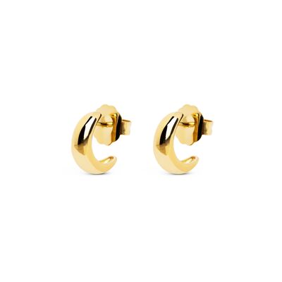 Vera Gold Earrings