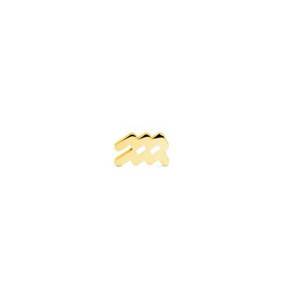 Gold Zodiac Loose Earring