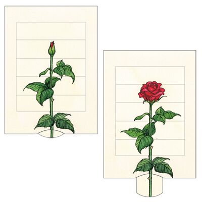 Carte vivante "Rose", carte postale lamellaire de haute qualité