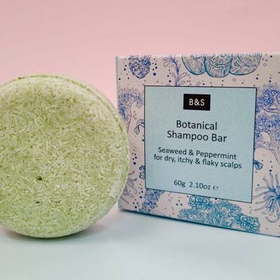 Shampoo botanico Bar Alghe & Menta Piperita - VEGAN