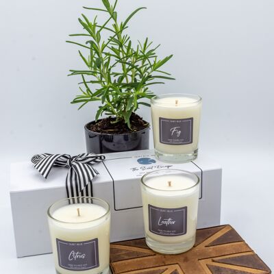 3 x Votives - Fig / Leather / Tuscan Summer