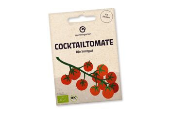Tomate cocktail de graines bio 1
