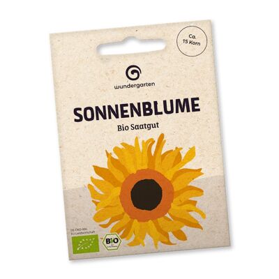 Bio Saatgut Sonnenblume
