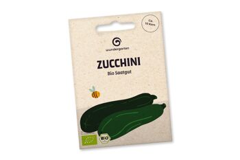 Graines de courgettes bio 1