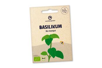 Graines de basilic bio 1