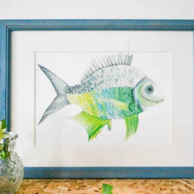 Poisson A4