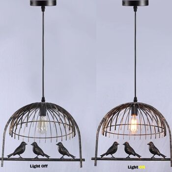 Bird Cage Ceiling Industrial Lustre Loft Suspension avec ampoule gratuite ~ 2256 - Laiton brossé 5