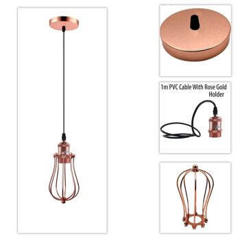 Plafond Rose Ballon Cage Suspendu Suspension Support De Lampe Kit D'éclairage De Montage UK ~ 1193 - Argent Brossé - Avec Ampoule 4