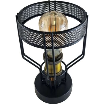 Plafonnier semi-encastré industriel vintage en métal pour cage à oiseaux en métal, couleur noire, facile à installer, lumière d'intérieur ~ 1219 - Sans ampoule 7