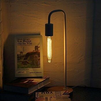 Vintage Filament Incandescent Edison Tall Bulb Dimmable B22 E27 Lumière industrielle décorative ~ 1225 - T45 E27 10