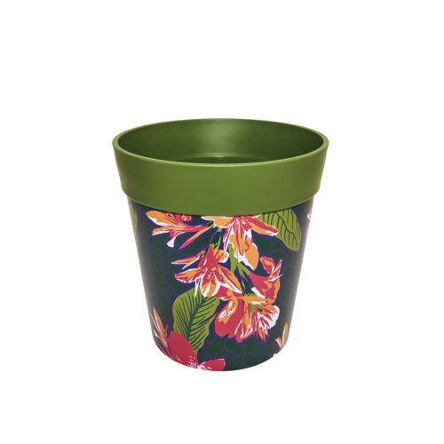 Tropical flowers, plastic indoor/outdoor pots 22cm x 22cm