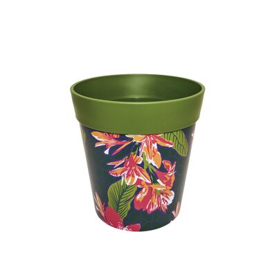 Tropical flowers, plastic indoor/outdoor pots 22cm x 22cm