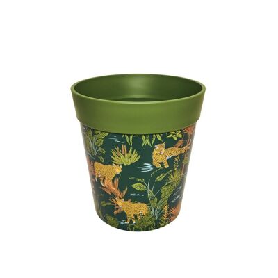 Jungle leopards, plastic indoor/outdoor pots 22cm x 22cm