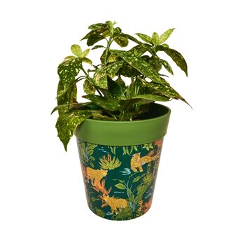 Léopards de la jungle, pots plastique intérieur/extérieur 22cm x 22cm 3