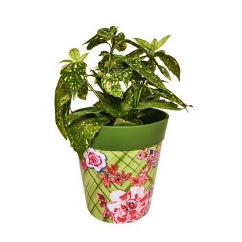 Treillis floral vert, pots plastique intérieur/extérieur 22cm x 22cm 3