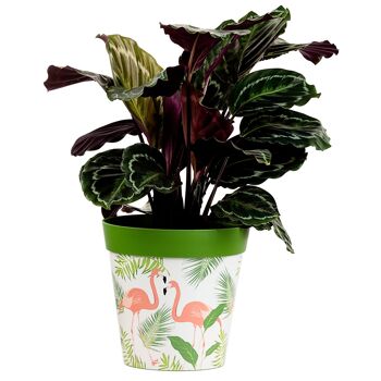 plastique vert, motif flamant rose, grand pot intérieur/extérieur 25cm 2