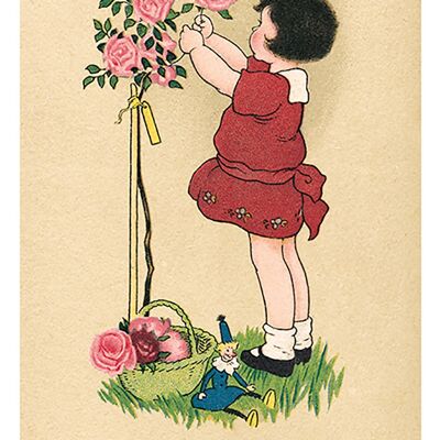 Postcard rosebush
