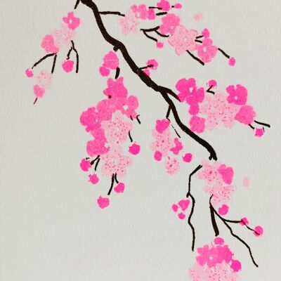 Karte Pink Blossom