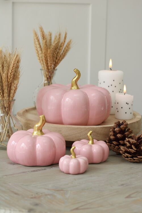Large Pink Pumpkin