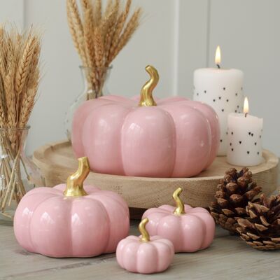 Large Pink Pumpkin