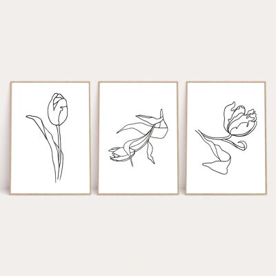 Set Of 3 Flowers Simple Line Work Bedroom Print A2 Normal