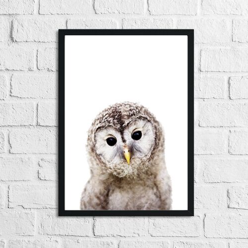 Owl Animal Woodlands Nursery Childrens Room Print A4 High Gloss