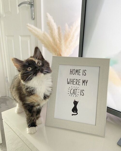 Home Is Where My Cat Is Animal Simple Print A4 High Gloss
